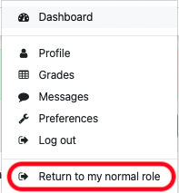 An image of the options available through the user icon where the return to my normal role function is located.