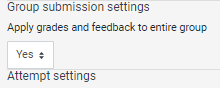 Group submission settings with option to apply grades and feedback to entire group enabled