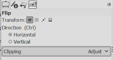 Screenshot of flip tool menu settings for horizontal or vertical flipping